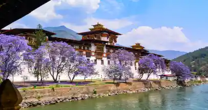 India Bhutan Tour Packages: Best Routes & Itinerary