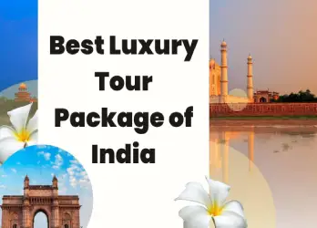 Luxury India Tour Packages: Best Royal and Premium Itineraries
