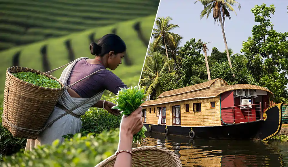 South India And Kerala