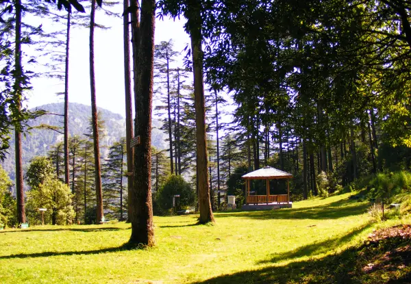 Dhanaulti