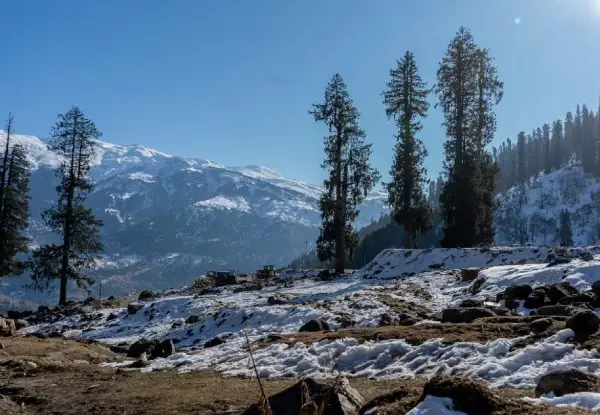 Solan