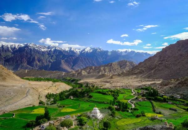 The Nature of Ladakh