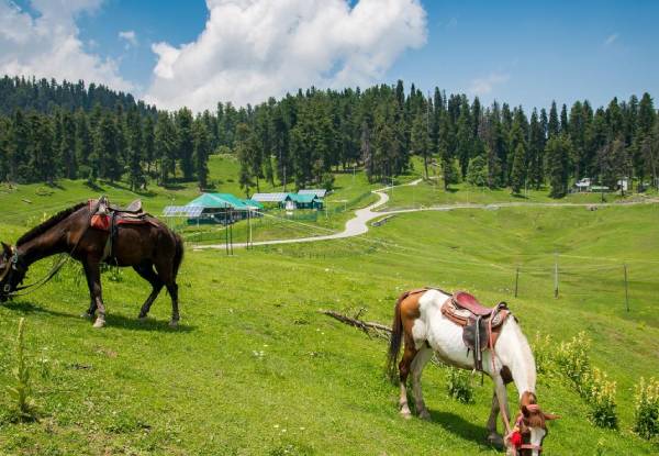 Gulmarg