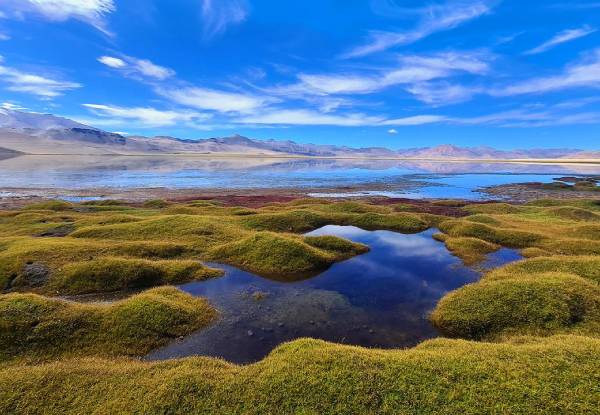 The Changthang Wildlife Sanctuary