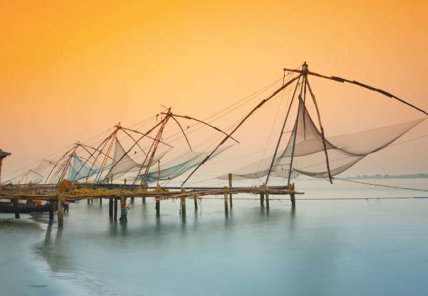 Chinese Fishing Nets