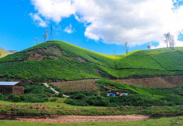 Kannan Devan Hills Plantation Tea Museum