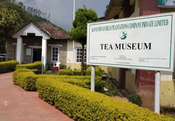 Tea Museum