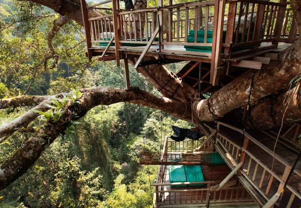 Treehouse Experience