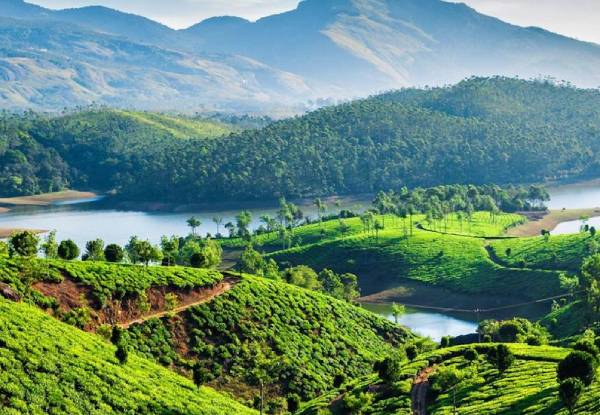 Western Ghats-Munnar
