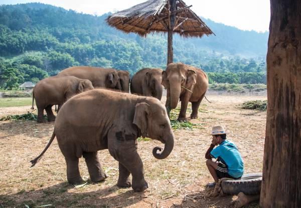 Elephant Rehabilitation Centre