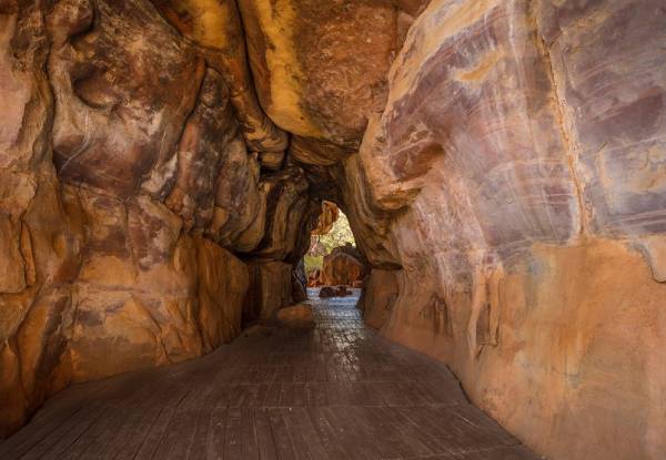Bhimbetka Rock Shelters