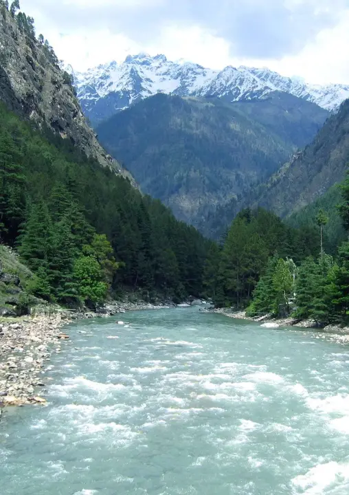 International Yoga Festival Rishikesh