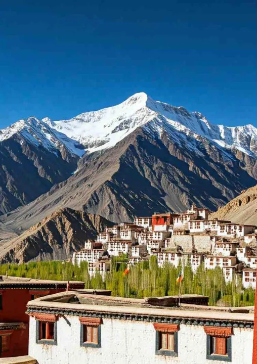 Mosaic Ladakh 5 Nights, 6 Days