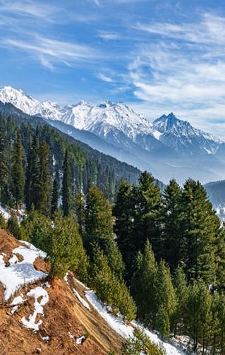 Kashmir Paradise Honeymoon Tour
