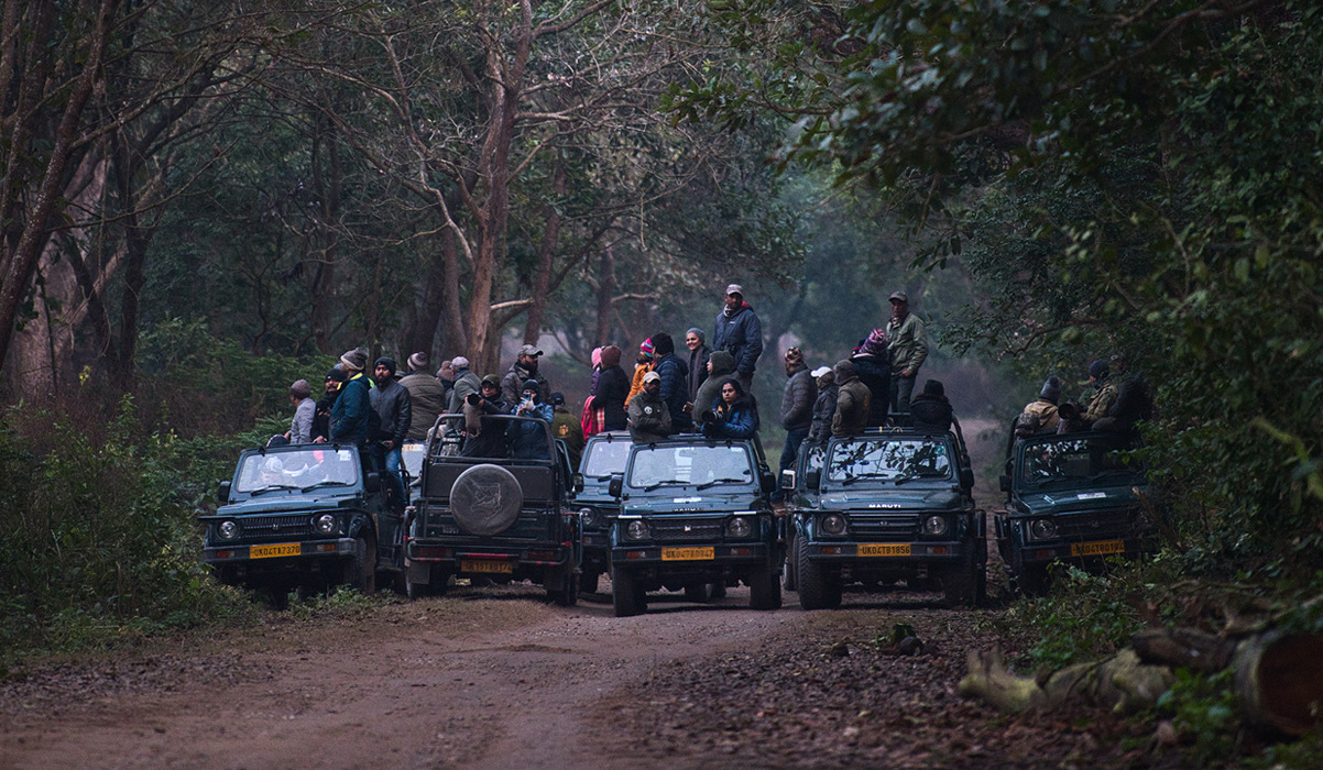 Jim Corbett Wildlife Safari Tour