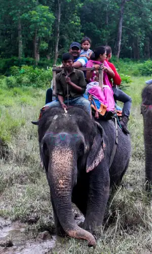 Chitwan National Park Safari Tour