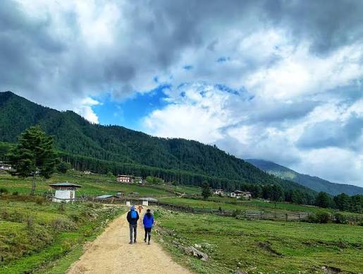 Gangtey Valley Nature & Hiking Tour