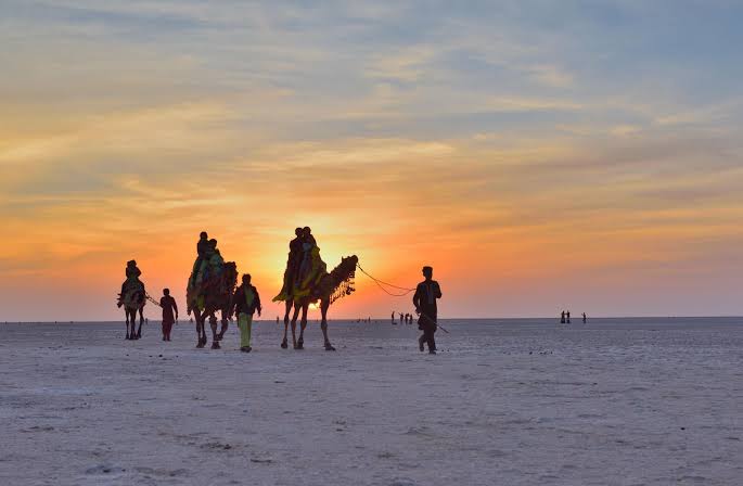 Kutch Desert & White Rann Tour
