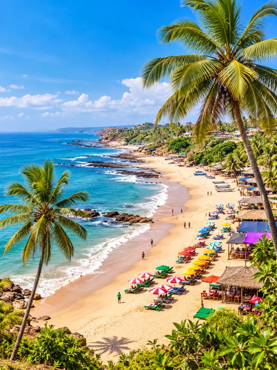 Beach & Islands