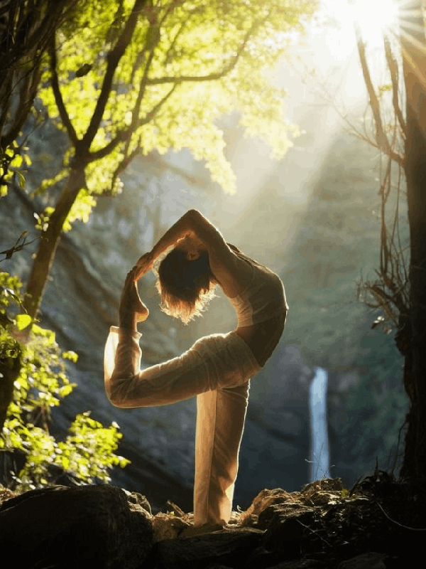 Ayurveda & Yoga