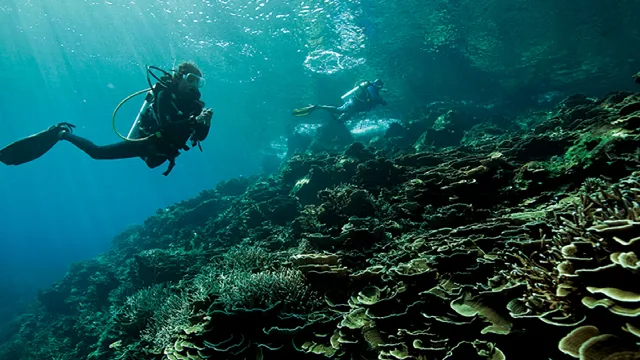 Andaman Adventure & Scuba Tour