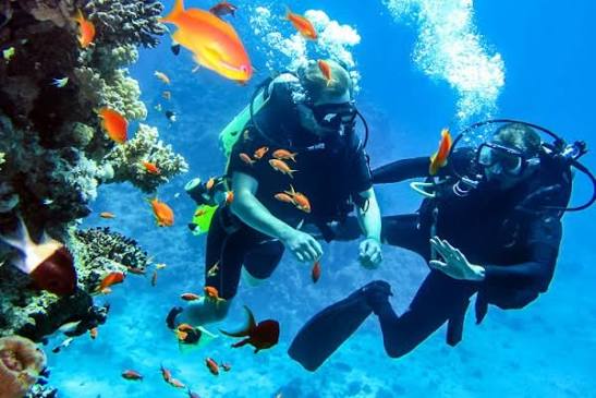 Andaman Adventure & Scuba Tour