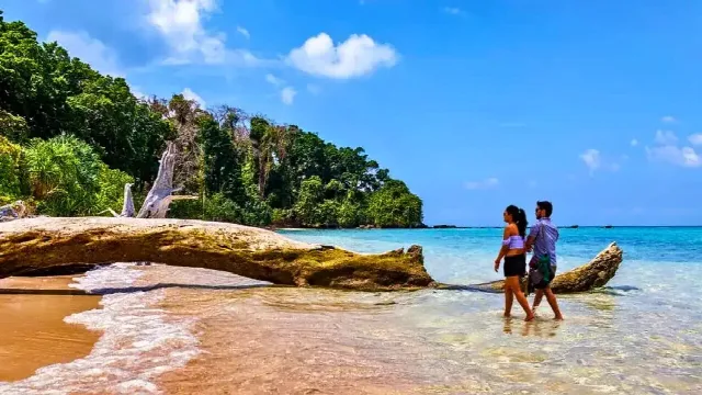Andaman Island Explorer Tour