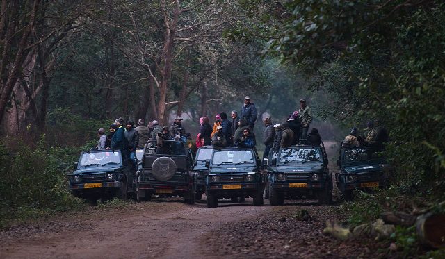 Jim Corbett Wildlife Safari Tour