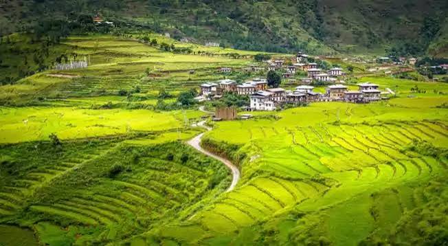 Bagdogra Bhutan Tour