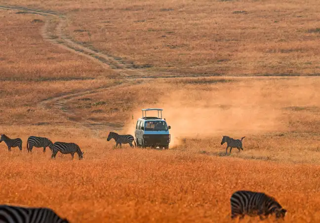 Chitwan National Park Safari Tour