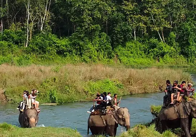 Chitwan National Park Safari Tour