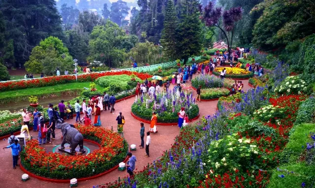 Coorg & Ooty Romantic Escape Tour