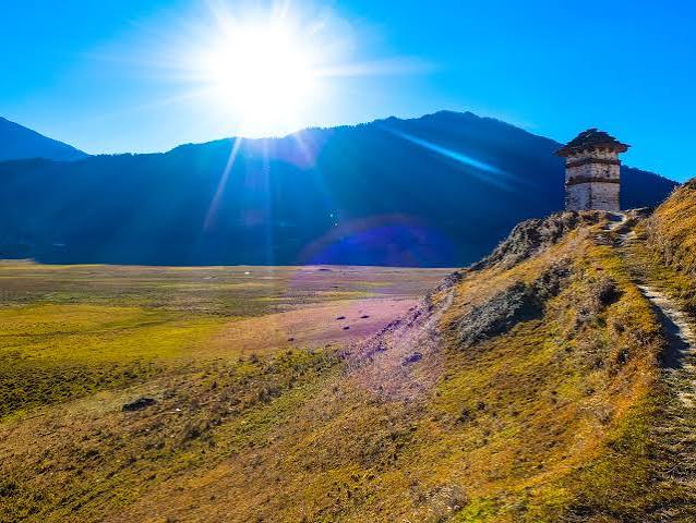 Gangtey Valley Nature & Hiking Tour