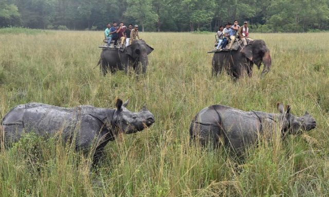 Wildlife and Tribal Experience Tour of India