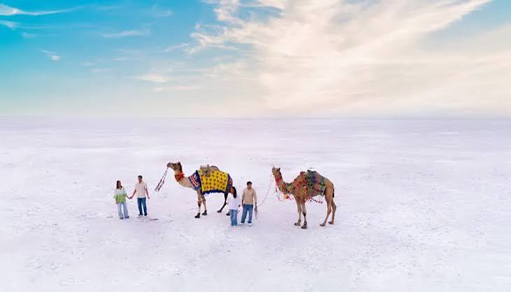Kutch Desert & White Rann Tour