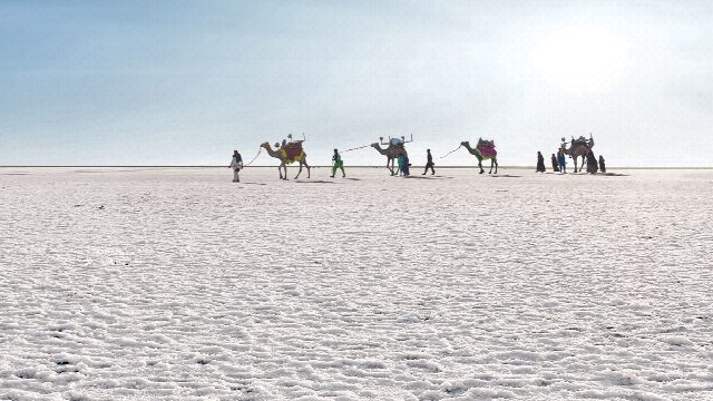 Kutch Desert & White Rann Tour
