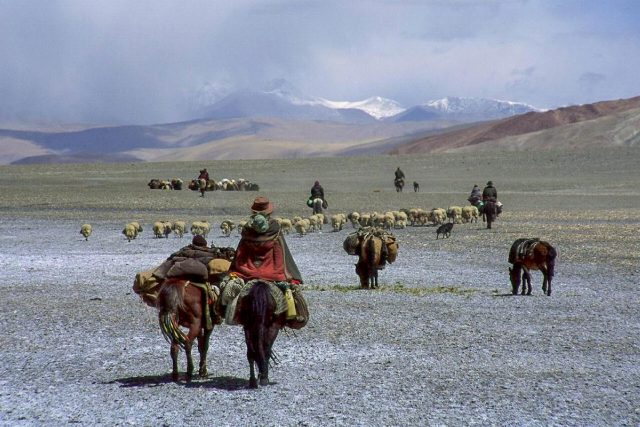 Ladakh Nomadic Tribal Expedition