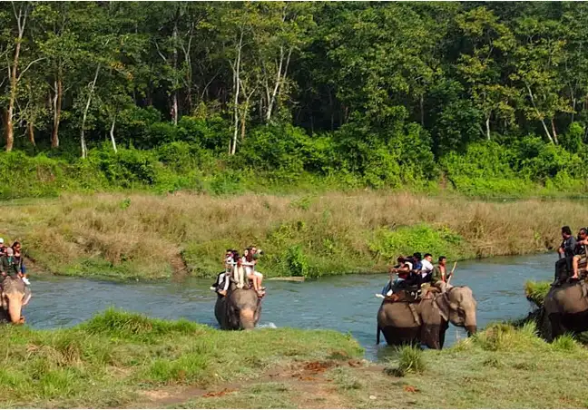 Nepal Jungle & Nature Experience Tour