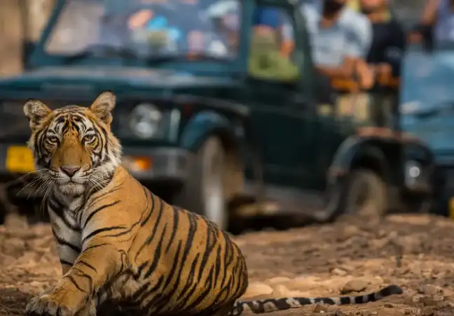 Nepal Wildlife & Jungle Tour