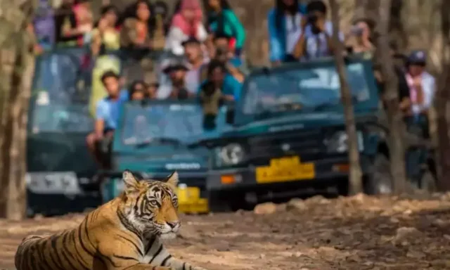 Golden Triangle Tour with Ranthambore Wildlife and Pushkar