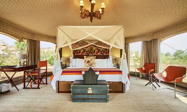 Luxury Wildlife Safari Tour India