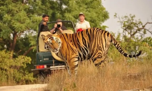 Corbett Wildlife Tour Package