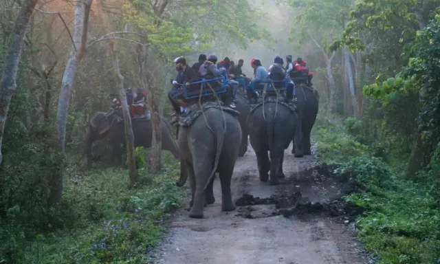 Nameri and Kaziranga wildlife tour