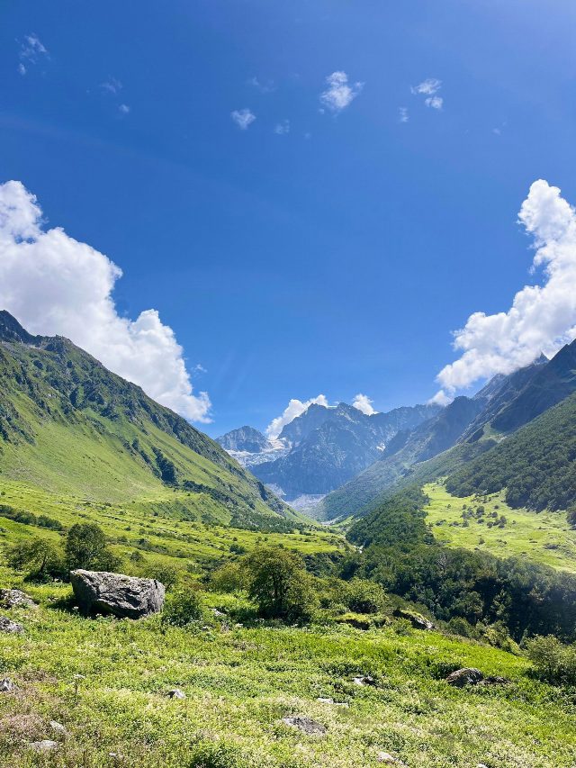 Valley of Flowers Trek Uttarakhand