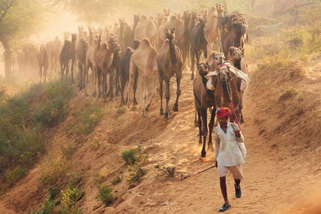 Wonders of North India Tour with Rajasthan Tour Packages