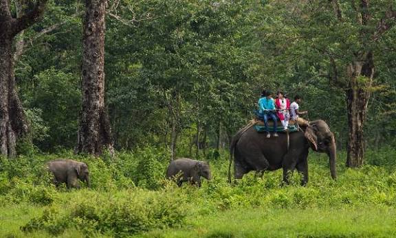 Royal Manas National Park Wildlife & Nature Tour