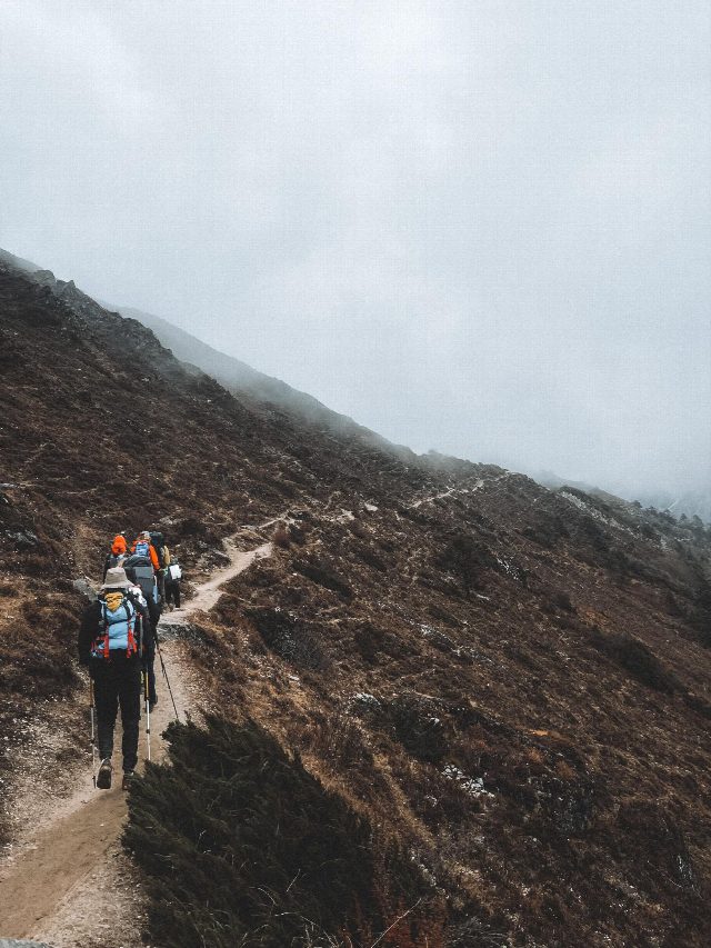 Sandakphu Trekking Tour