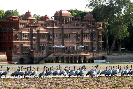 Gajner Palace and Wildlife Sanctuary